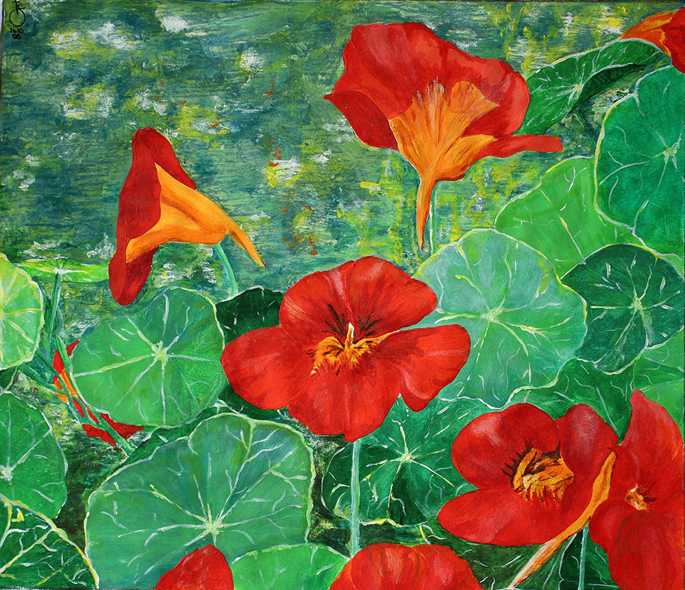 nasturtiums