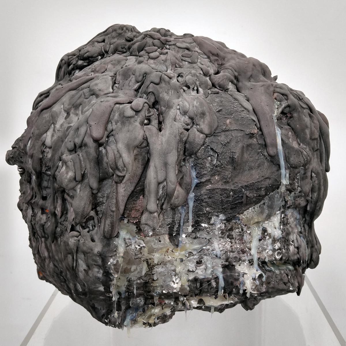 stromatolites again 1