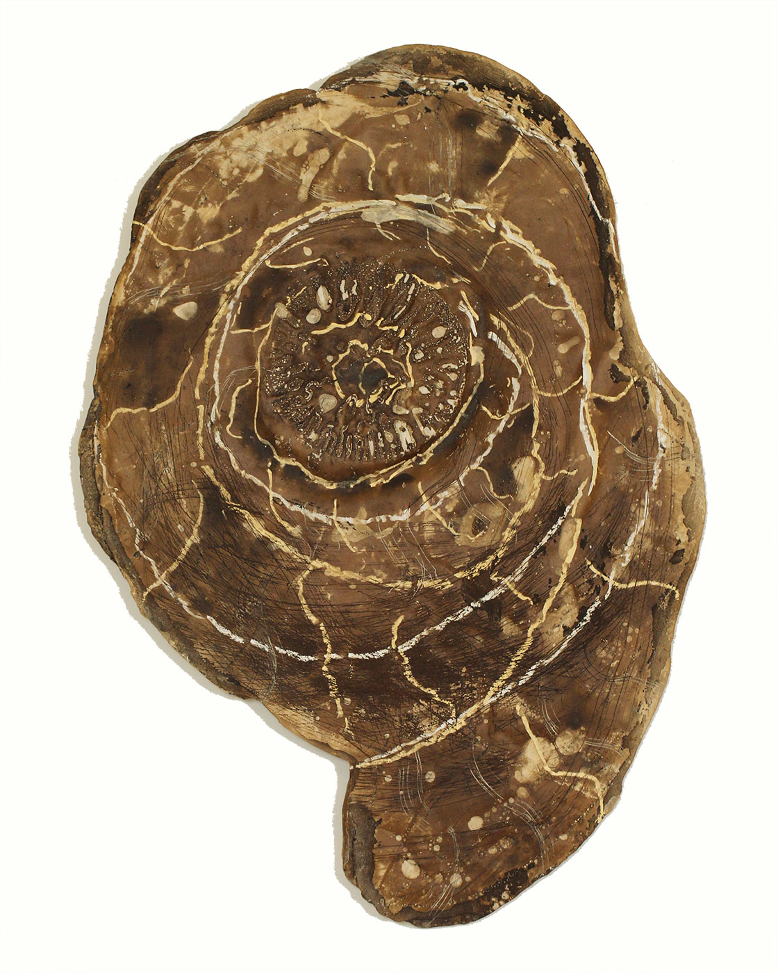 ammonite